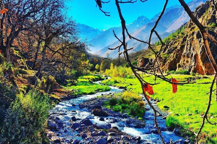 From Marrakech: Atlas Mountains & Berber Villages Tour with Tea