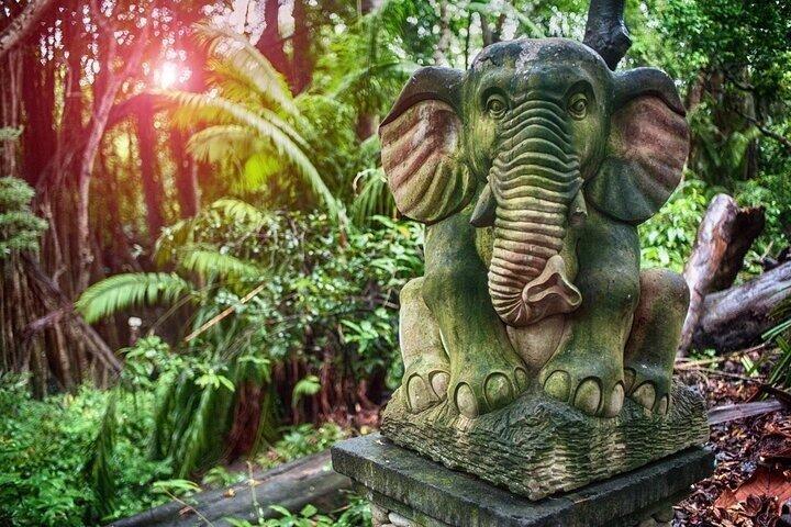 UTVバリバギーアドベンチャーとウブド日帰り旅行がセットになっています。