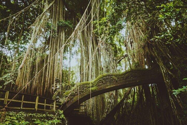 UTVバリバギーアドベンチャーとウブド日帰り旅行がセットになっています。