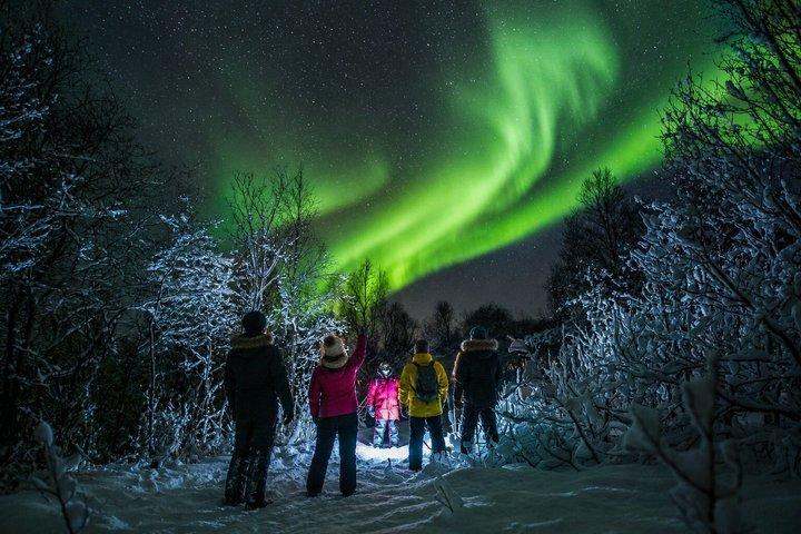 Anmeldelse af Tromsø: Chasing the Aurora