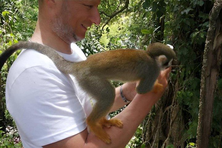 Puerto Plata Combo Shore Excursion Adventure Buggy & Monkeys