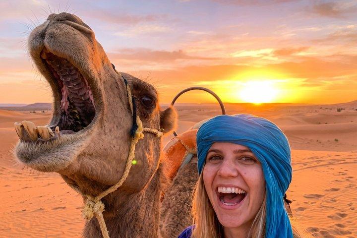Magical Agafay Desert Sunset Camel Ride, Dinner & Live Fire Show