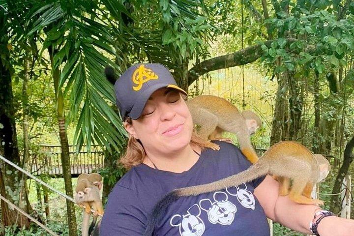 Puerto Plata: Combo Shore Excursion Monkey & Damajagua Waterfalls