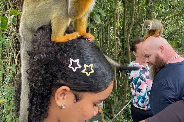 Puerto Plata: Combo Shore Excursion Monkey & Damajagua Waterfalls
