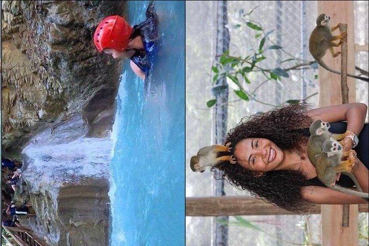 Puerto Plata: Monkeys & 7 Waterfalls Adventure