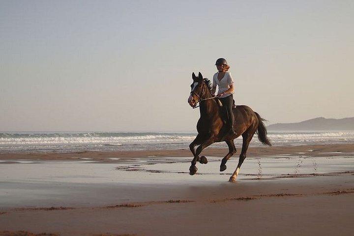 Excursion privée de luxe à Essaouira au départ de Marrakech