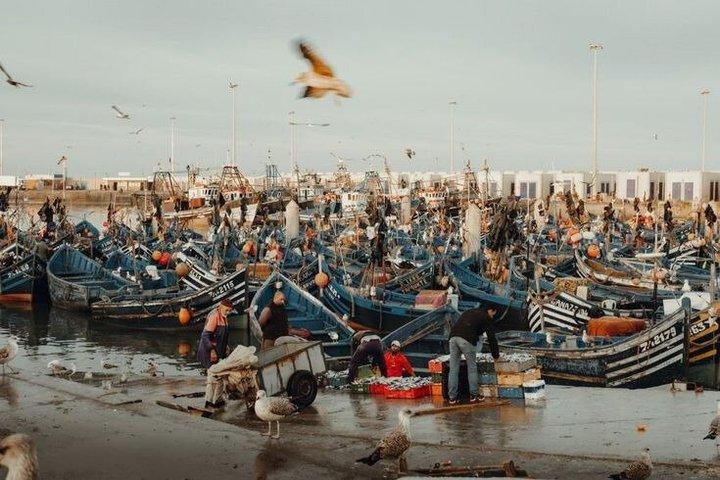 Excursion privée de luxe à Essaouira au départ de Marrakech
