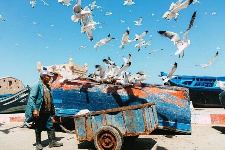 Excursion privée de luxe à Essaouira au départ de Marrakech
