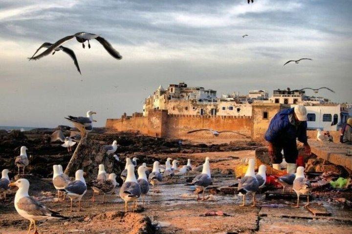 Excursion privée de luxe à Essaouira au départ de Marrakech