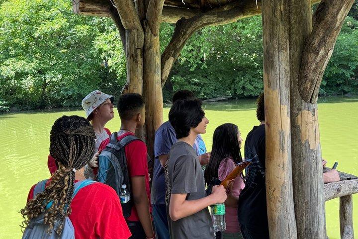Tour Principiante Birdwatching di Central Park