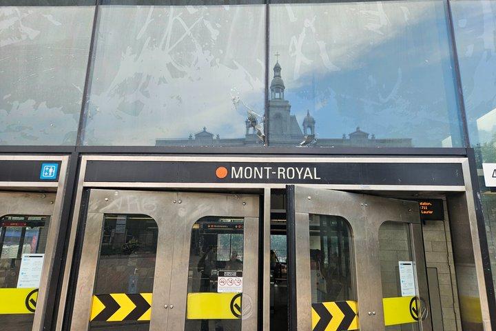 Montreal Walking and Metro Tour Culture History and Diversity
