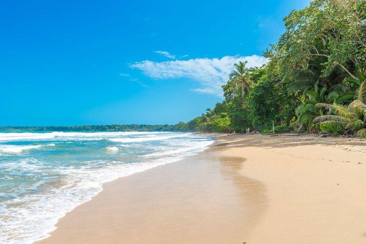 Cahuita Park & Prospect Plantation. Excursión a Puerto Limón