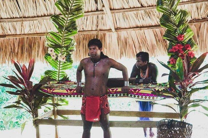 Emberá Community To Stop Private Purú