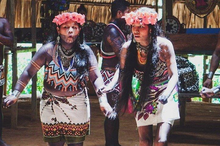 Emberá Community To Stop Private Purú