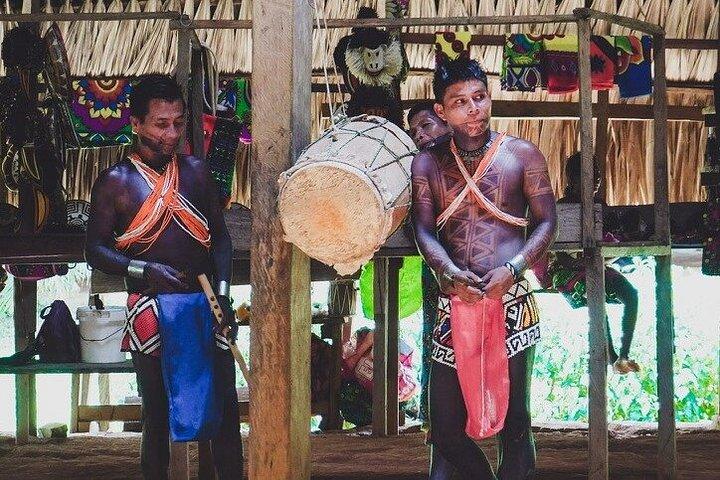 Emberá Community To Stop Private Purú