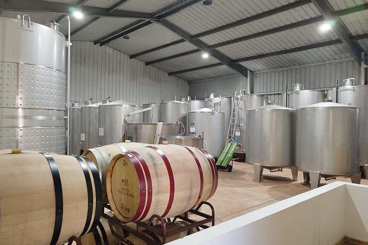 Wine Tasting & Tapas 4x4 Tours
