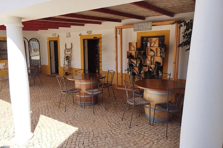 Wine Tasting & Tapas 4x4 Tours