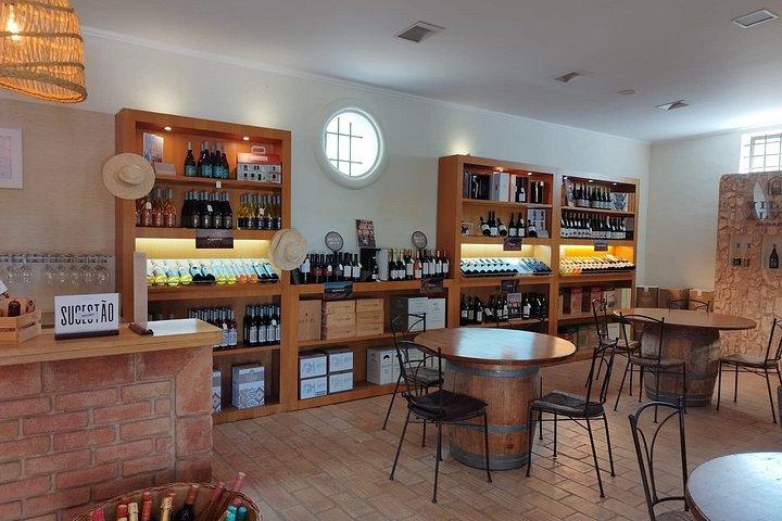 Wine Tasting & Tapas 4x4 Tours