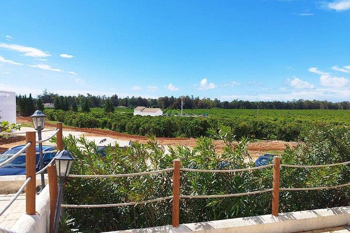 Wine Tasting & Tapas 4x4 Tours