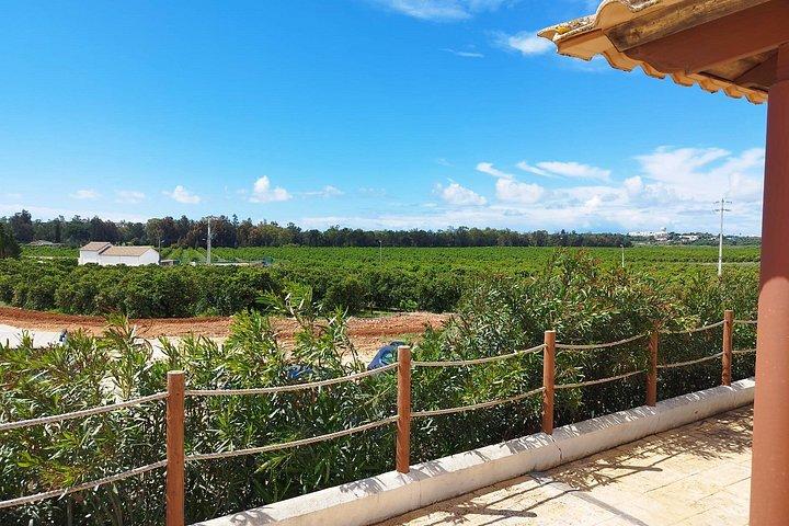 Wine Tasting & Tapas 4x4 Tours
