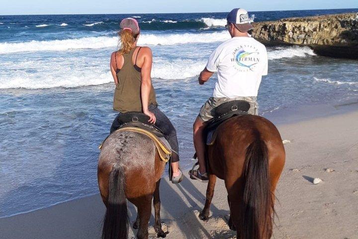 Aruba Countryside: Hesteeventyr til Urirama Cove