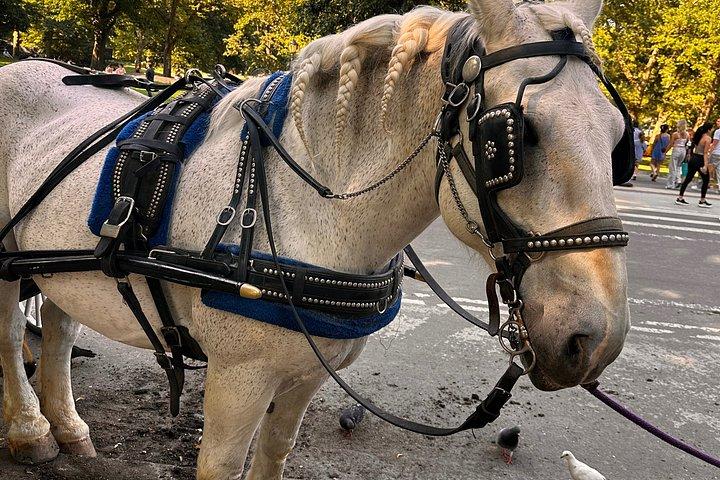 Billeder af Central Park Carriage Ride