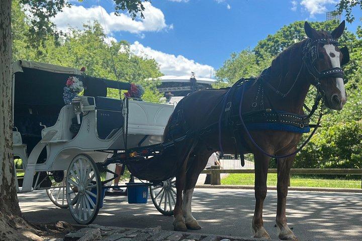 Billeder af Central Park Carriage Ride