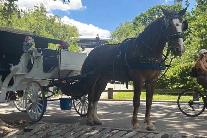 Billeder af Central Park Carriage Ride