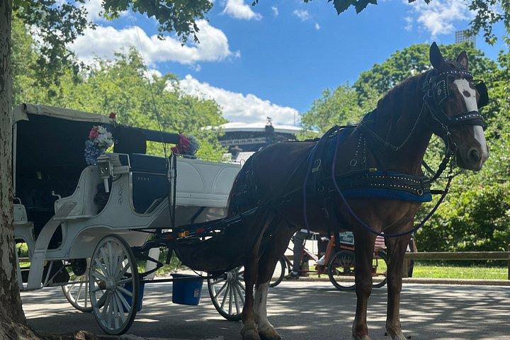 Billeder af Central Park Carriage Ride
