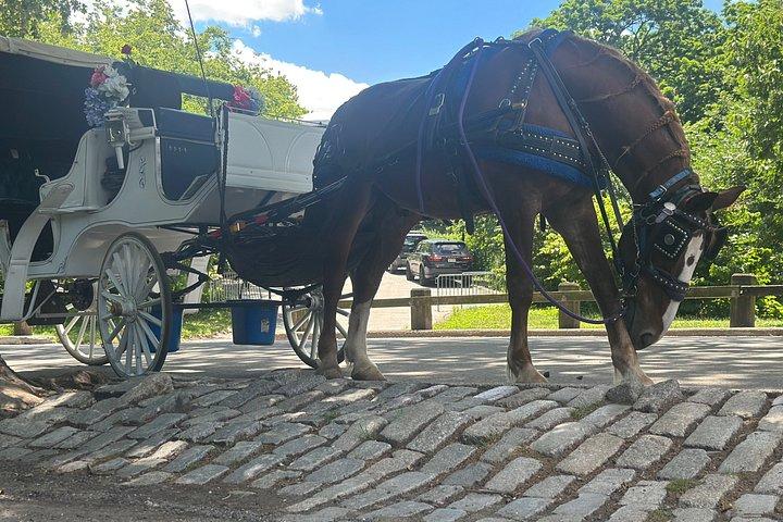 Billeder af Central Park Carriage Ride