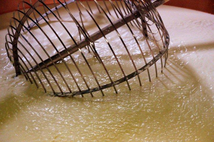 Parmigiano Reggiano van Red Cows met lunch in Reggio Emilia