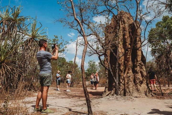 Litchfield Essentials Day Tour from Darwin