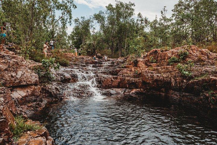 Litchfield Essentials Tagestour von Darwin