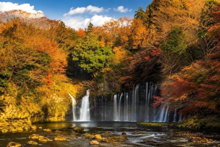 東京：白糸の滝へのプライベート軽井沢日帰り旅行