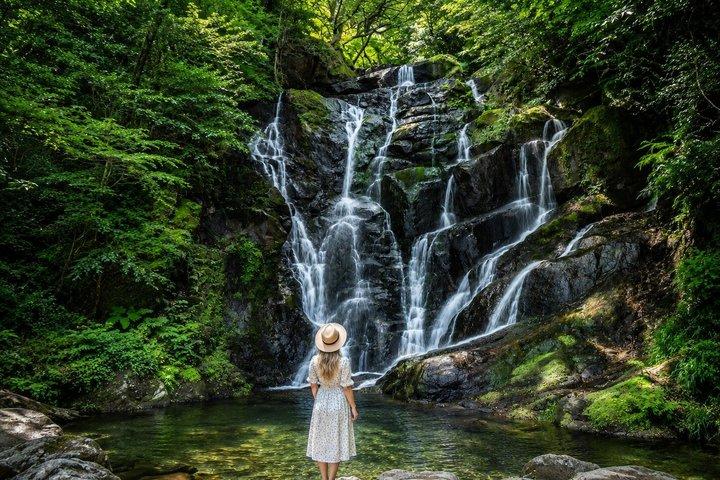 東京：白糸の滝へのプライベート軽井沢日帰り旅行