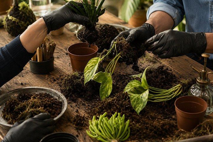 ミラノ・ナヴィリ地区で苔玉の日本語芸術に触れる