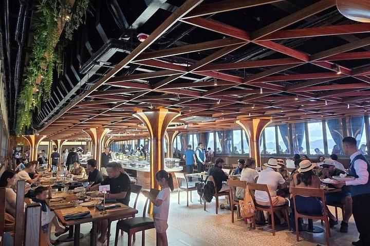 ハノイ発ドルフィンクルーズハロン湾豪華日帰りツアー