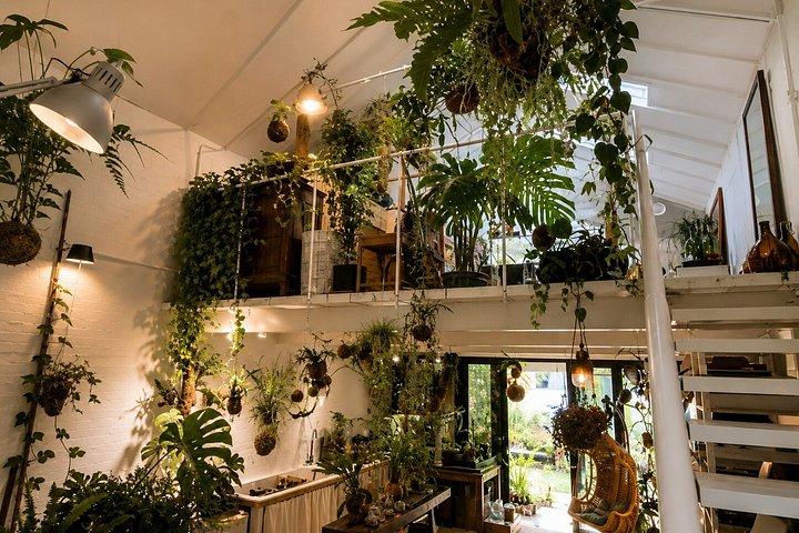 ミラノ・ナヴィリ地区で苔玉の日本語芸術に触れる