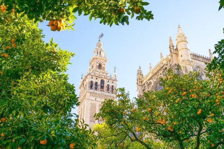 Essentieel Sevilla: Rondleiding langs de belangrijkste monumenten en Santa Cruz
