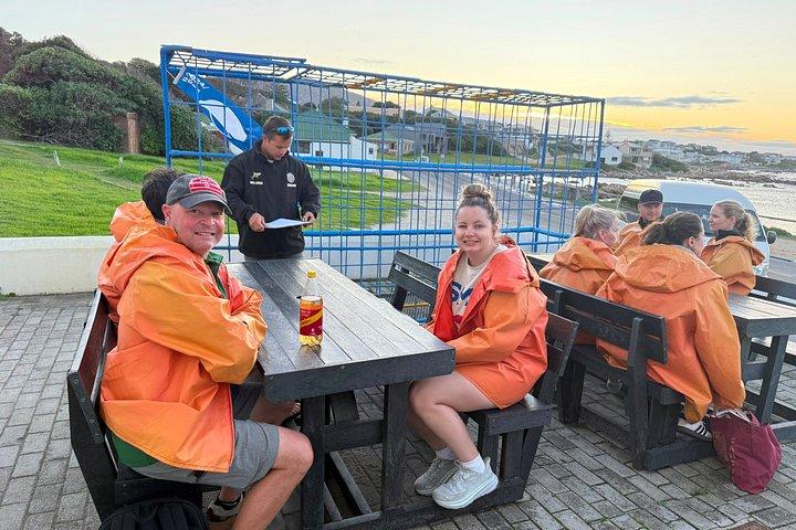 Shared Hermanus Boat Based Whale Watching and Penguin Adventure