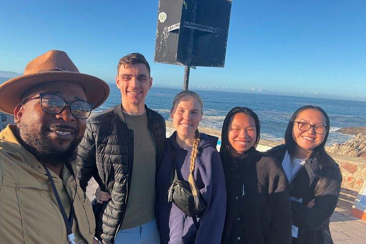 Shared Hermanus Boat Based Whale Watching and Penguin Adventure