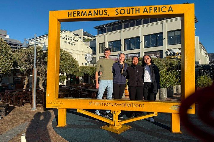 Shared Hermanus Boat Based Whale Watching and Penguin Adventure