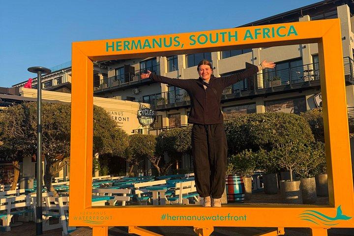 Shared Hermanus Boat Based Whale Watching and Penguin Adventure