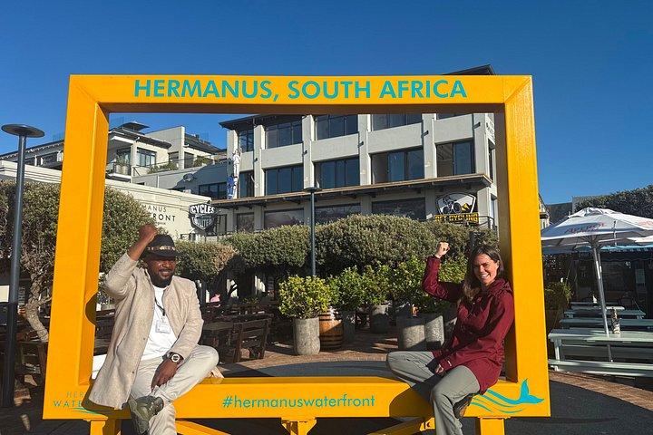 Shared Hermanus Boat Based Whale Watching and Penguin Adventure