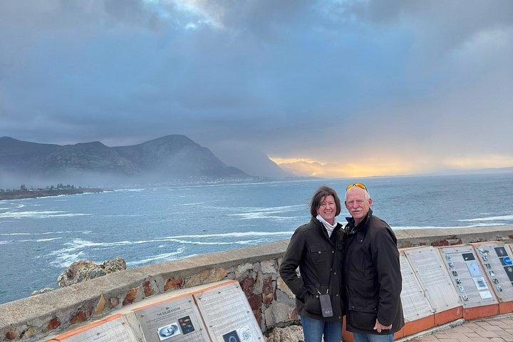 Shared Hermanus Boat Based Whale Watching and Penguin Adventure
