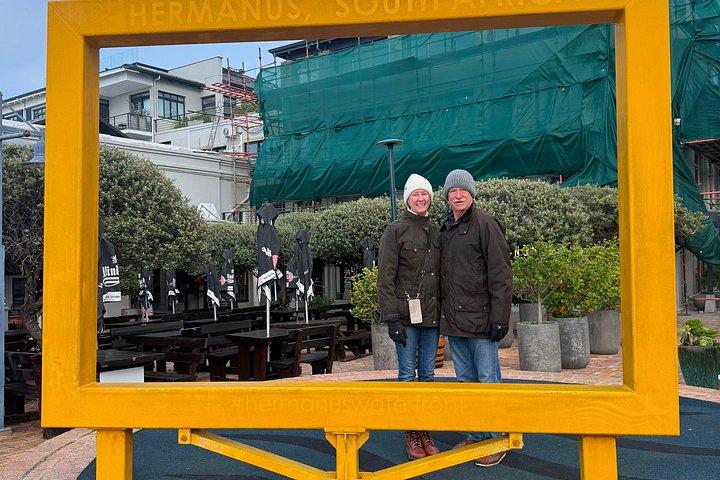 Shared Hermanus Boat Based Whale Watching and Penguin Adventure