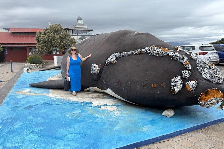 Shared Hermanus Boat Based Whale Watching and Penguin Adventure
