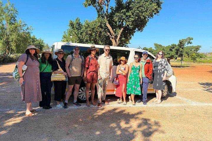 Full Day Cape Point and Boulders Beach Shared Tour from Cape Town