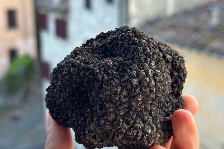 パルマ近郊の中世の村で味わうパスタ、トリュフ、ワイン