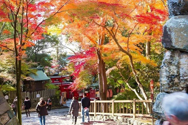 名古屋から車で巡る歴史ある犬山城と街めぐり